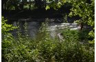 Property photo 30 - REAL ESTATE AUCTION - 26+/- ACRES IN 3 TRACTS IN SOUTHWEST ALLEN COUNTY, INDIANA